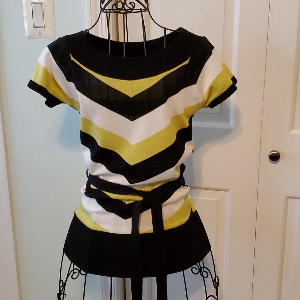 Short Sleeve Belted Sweater Tunic Size Small